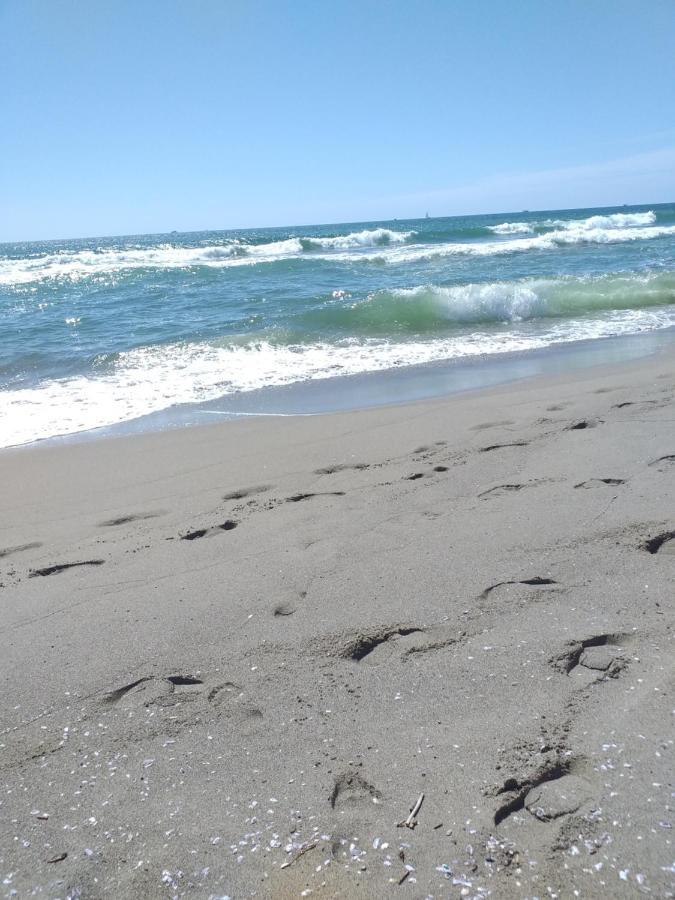 Sea Side Studio Viareggio Kültér fotó